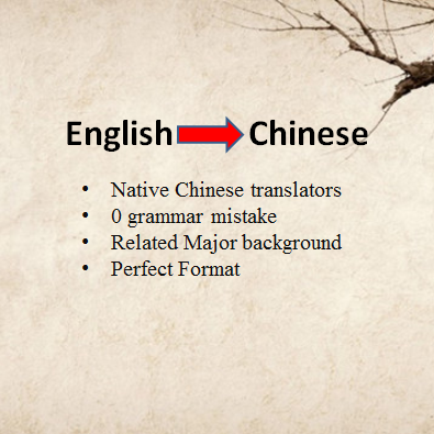 English to Chinese Translation
